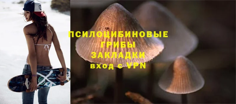 сколько стоит  Бутурлиновка  Псилоцибиновые грибы MAGIC MUSHROOMS 